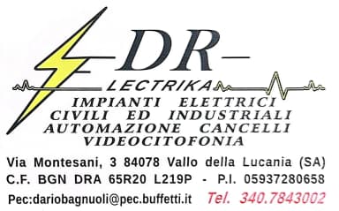 DR LECTRIKA DI BAGNUOLI DARIO